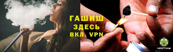индика Алзамай