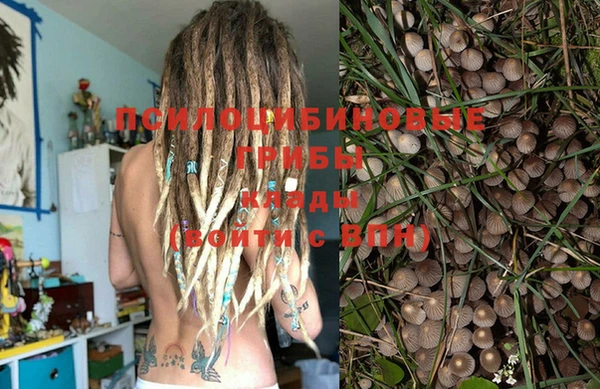 индика Алзамай
