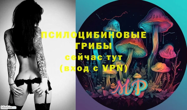 сатива Алексеевка