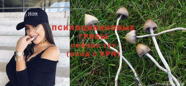 индика Алзамай
